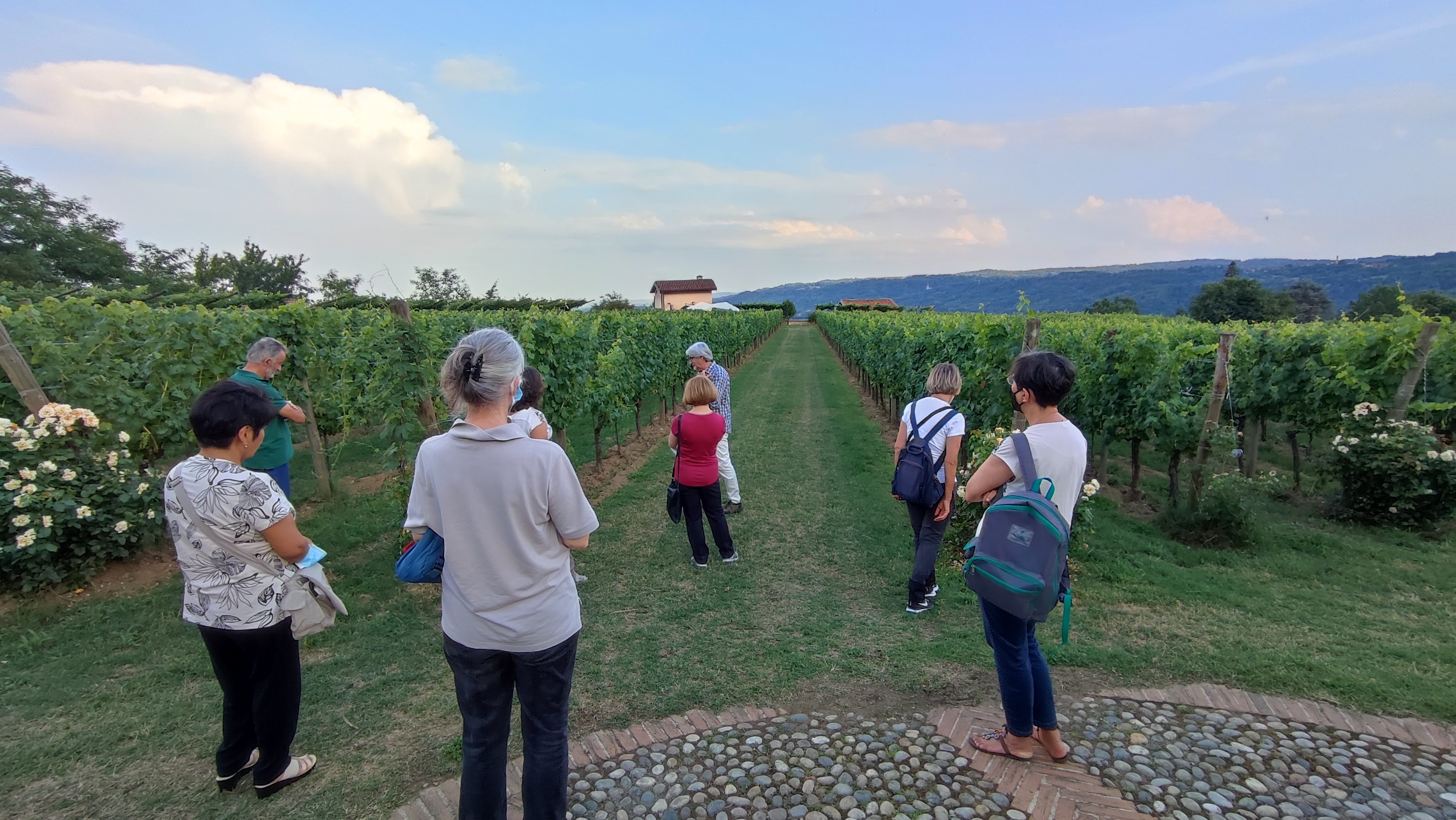 giroola degustazione vigna