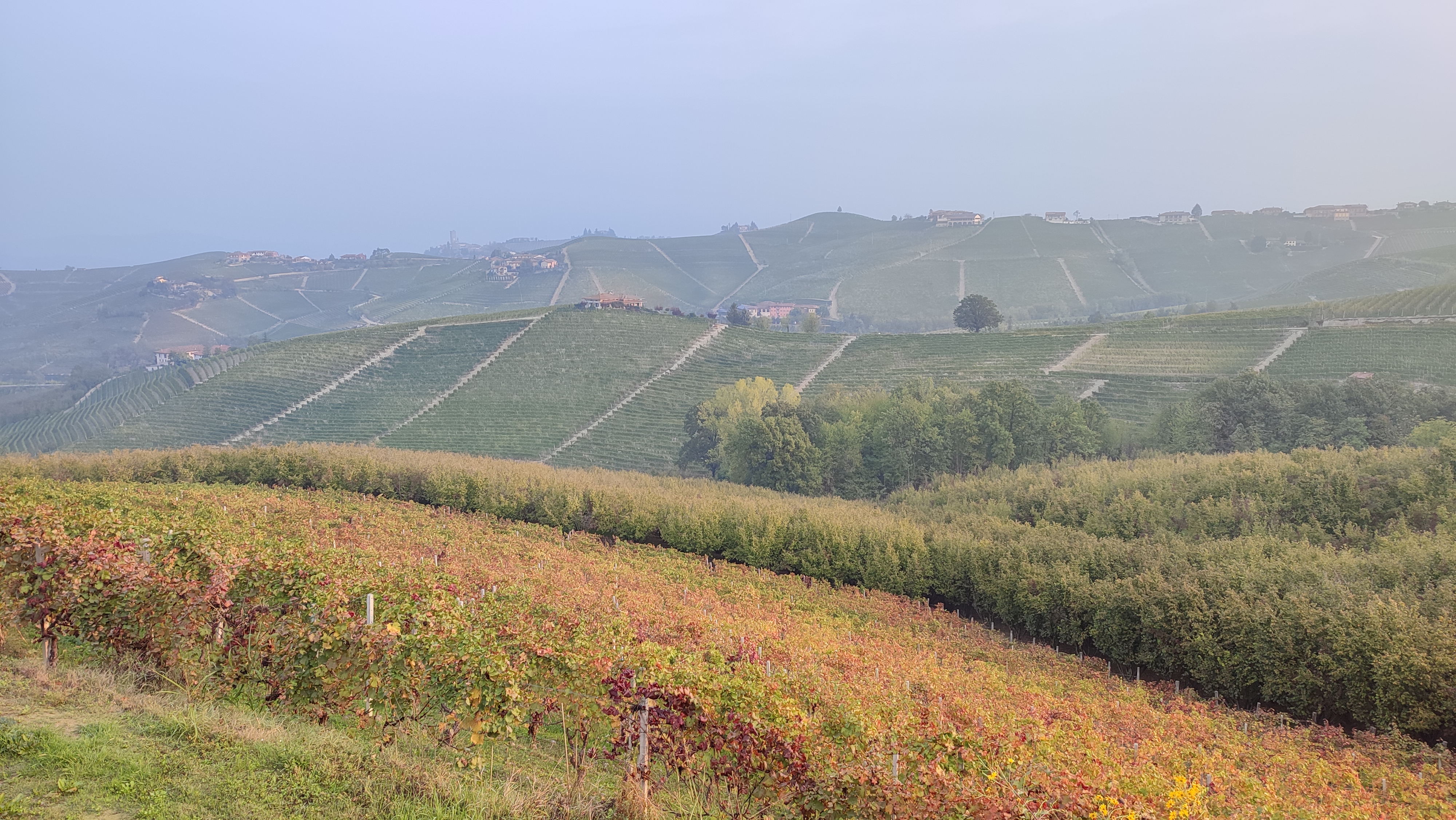 Langhe