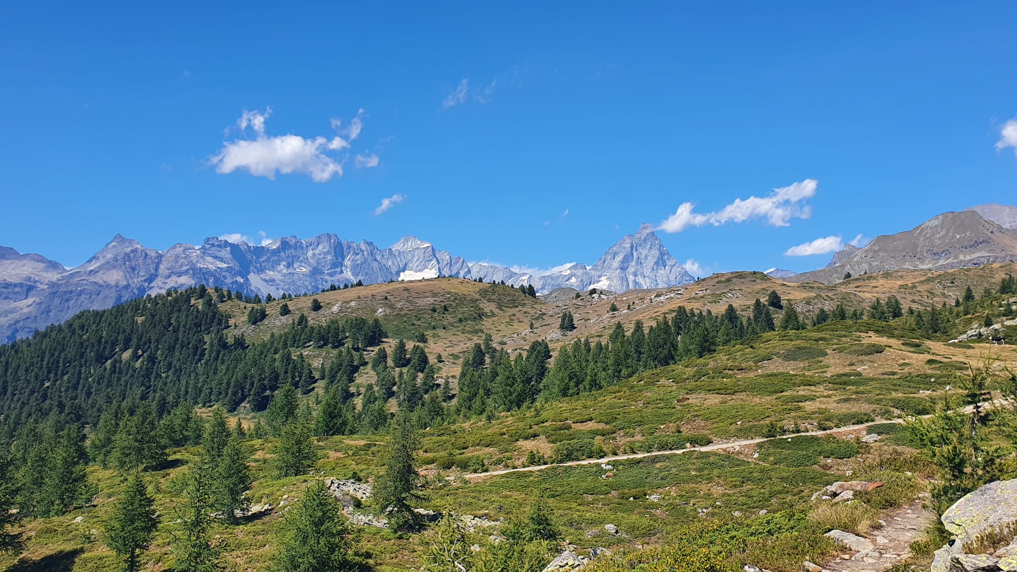 cervino