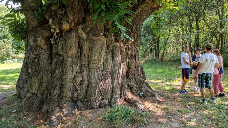 Roero Castagna Granda Minibus Tour
