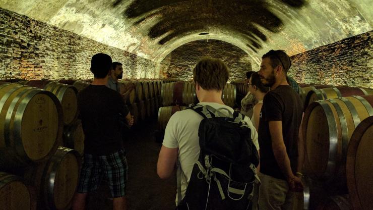 Cattedrali del Vino Minibus Tour