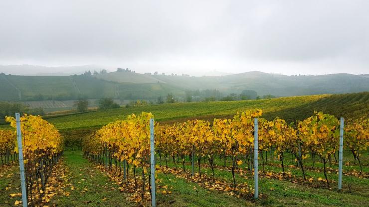Langhe