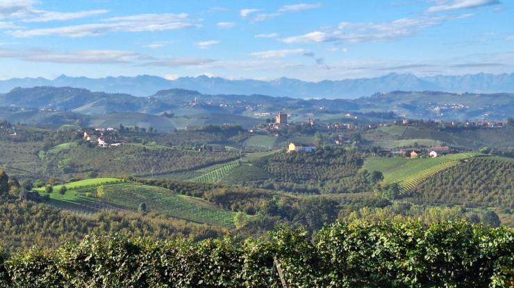Langhe Bartobar