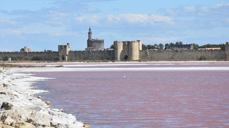 Camargue