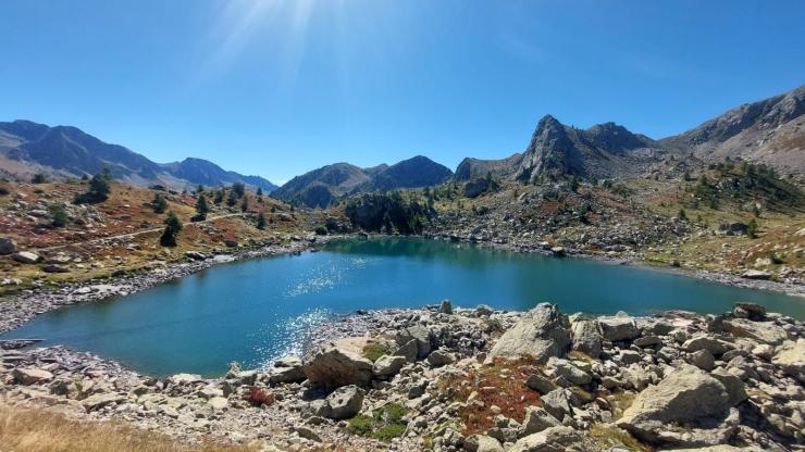 Laghi