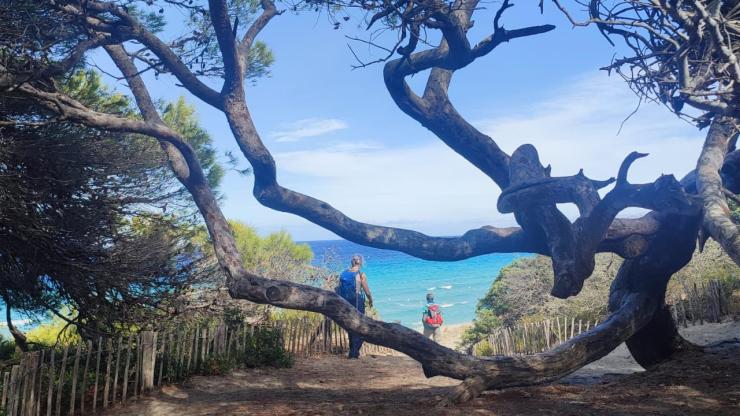 Corsica