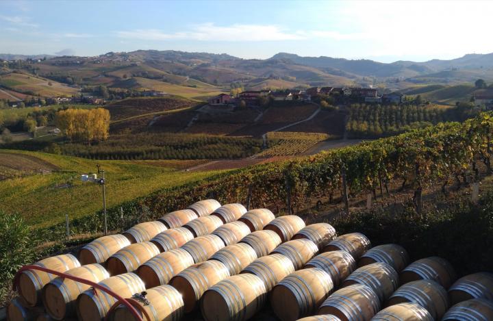 Langhe