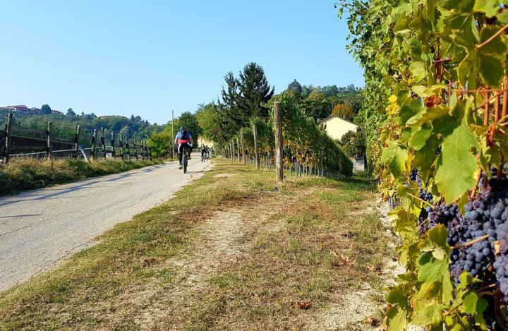 e-bike for everyone
