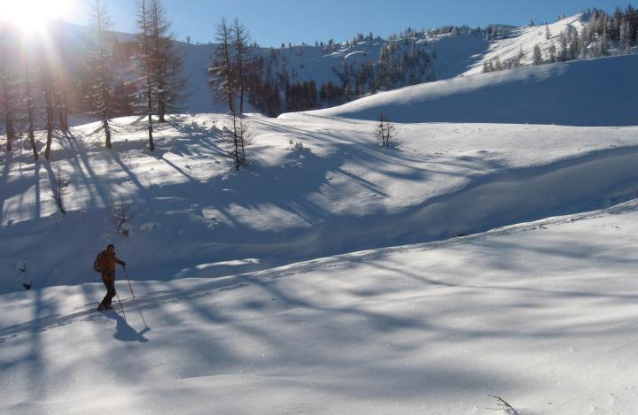Olympic Snowshoes
