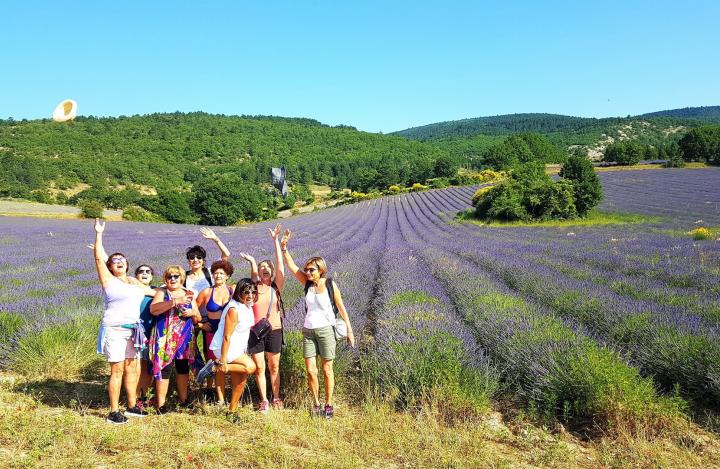 amiche della lavanda