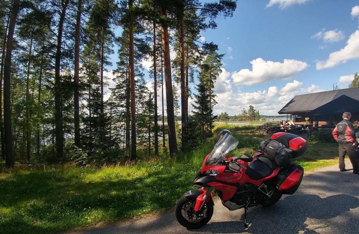 Foresta della Finlandia