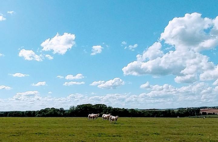 Paesaggio tipico tra Germania e Francia