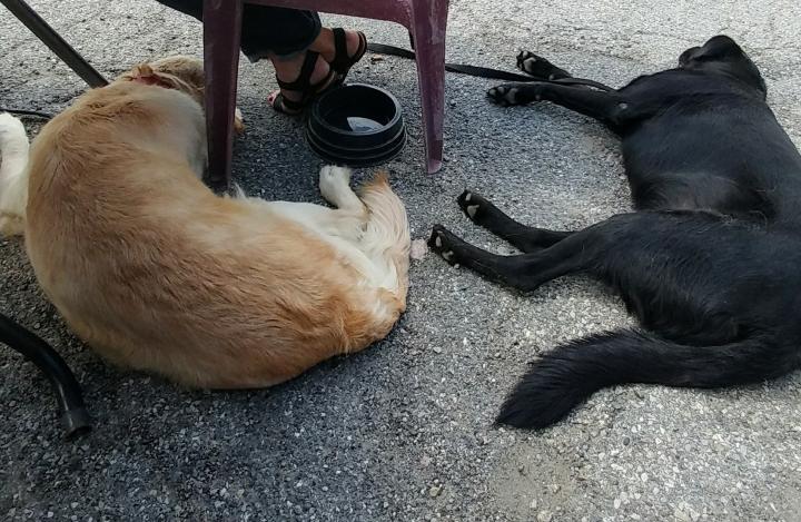 Troppo caldo In Italia. Ecco la prova