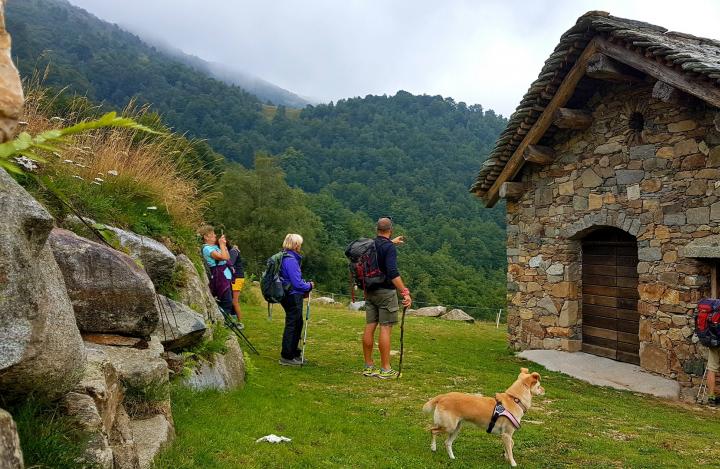 giroola cane trekking