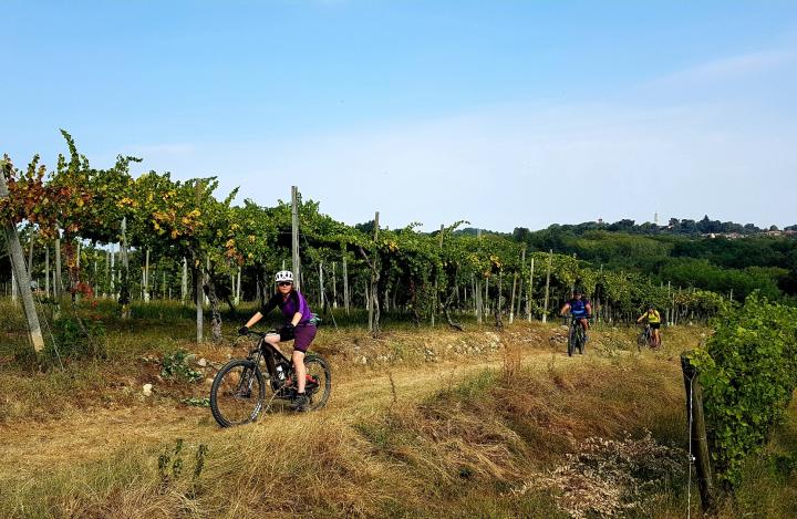 eBike TURISTICO