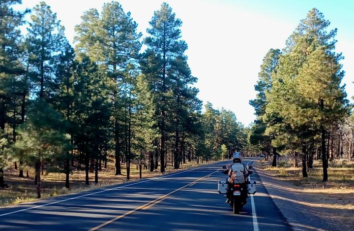 tornando dal grand canyon