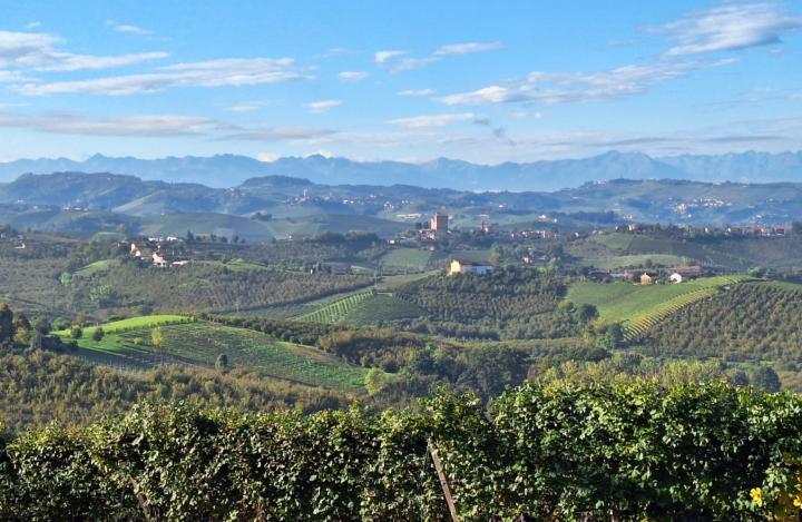 Langhe Bartobar