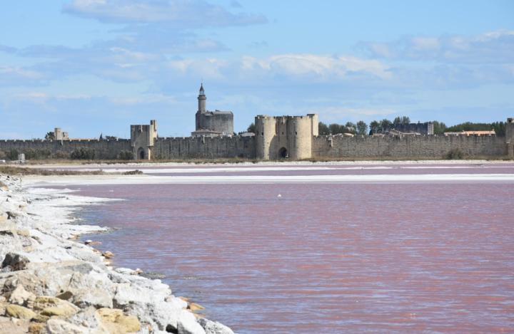 Camargue