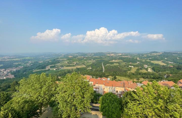 Lavanda Piemonte