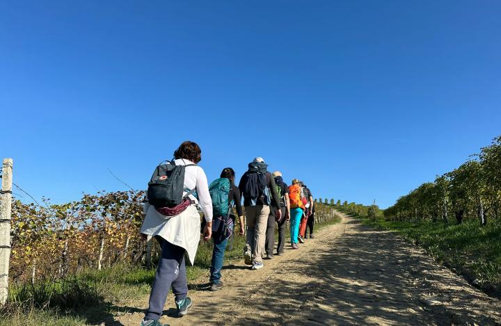 La Versione del Macchie: 3 giorni di camminate d'autunno nelle Langhe