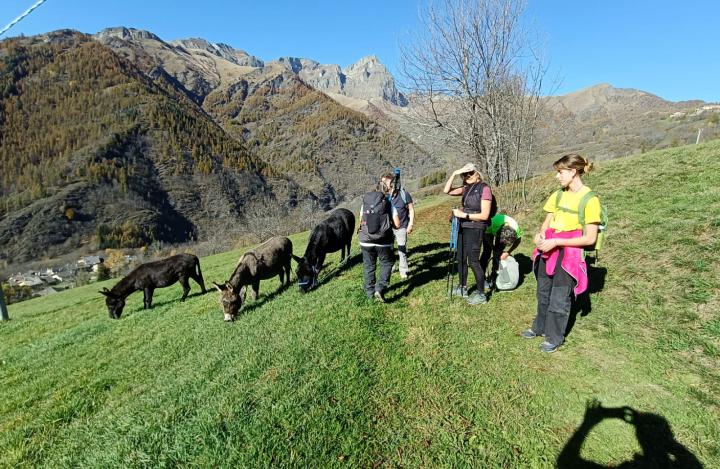 Valle Maira