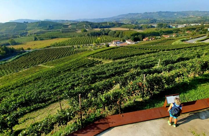 La Versione del Macchie: 3 giorni di camminate d'autunno nelle Langhe