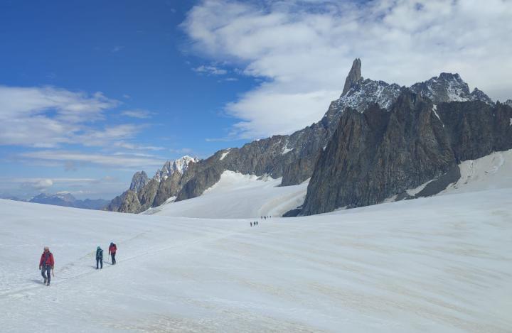 Alpi