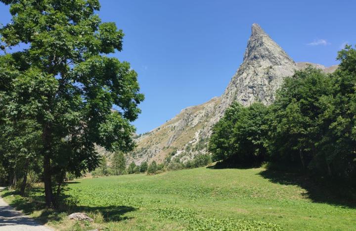 Alpi