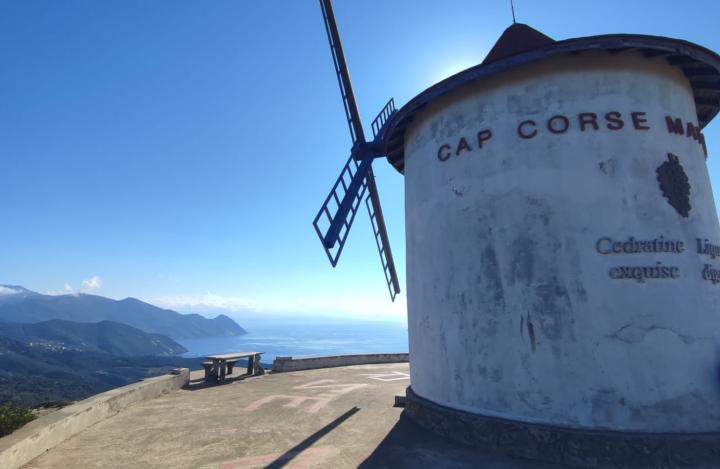 Corsica