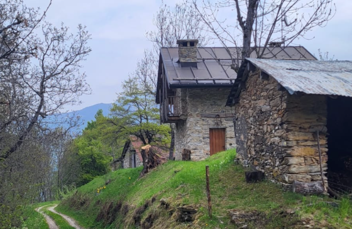 Eccellenze