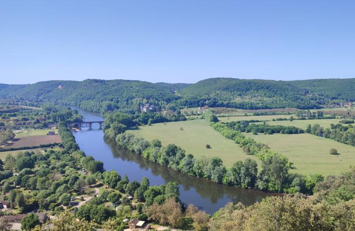 PErigord