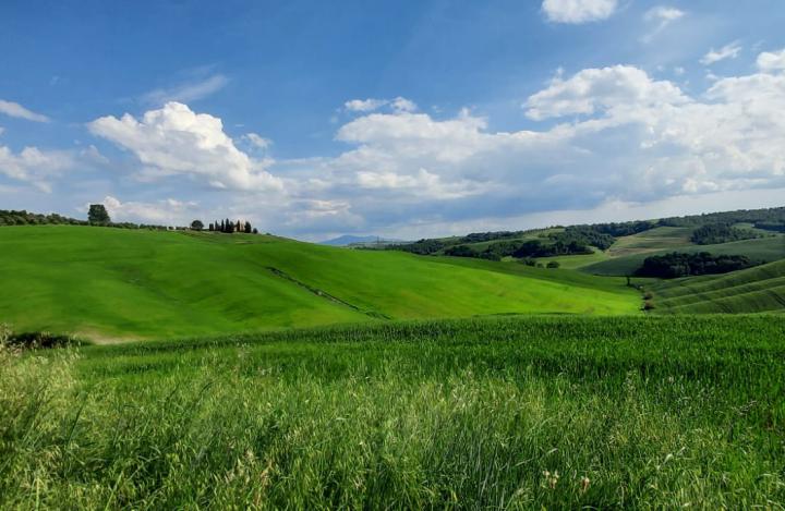 Siena