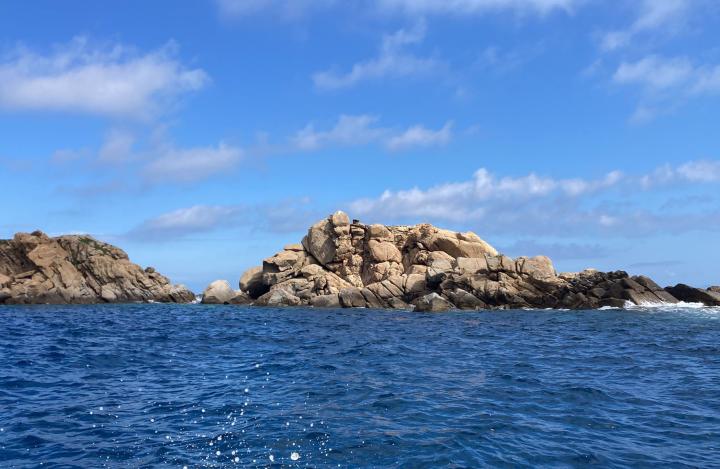 Giglio
