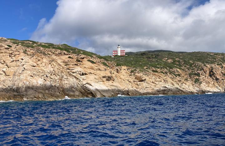 Giglio