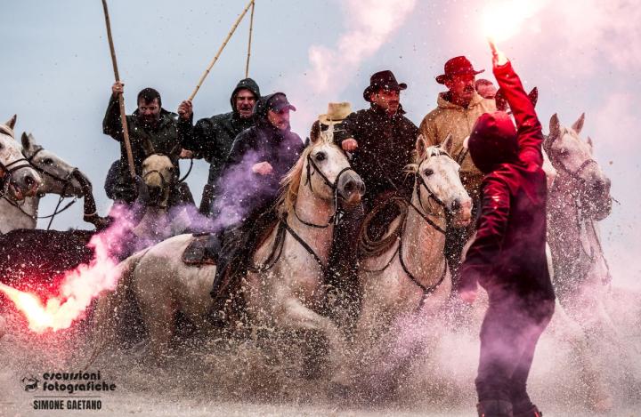 4 giorni di Workshop fotografico al Festival dell'Abrivado