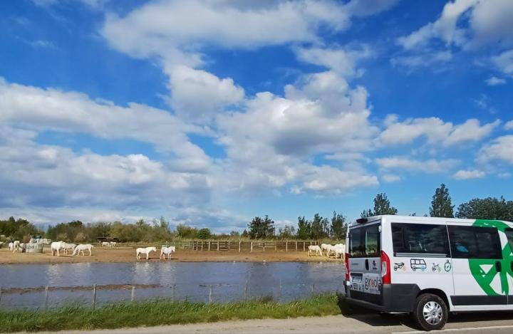 BUS_5_CAMARGUE