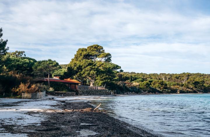 Isole d'Oro