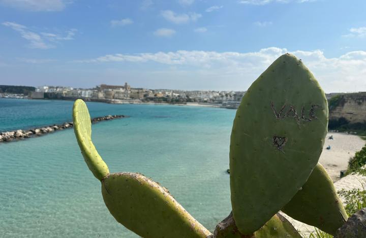 Matera