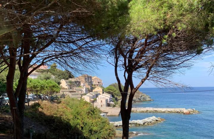 Corsica