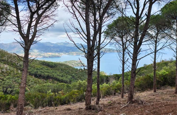 Elba