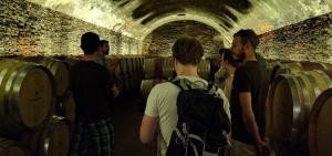 Cattedrali del Vino Minibus Tour