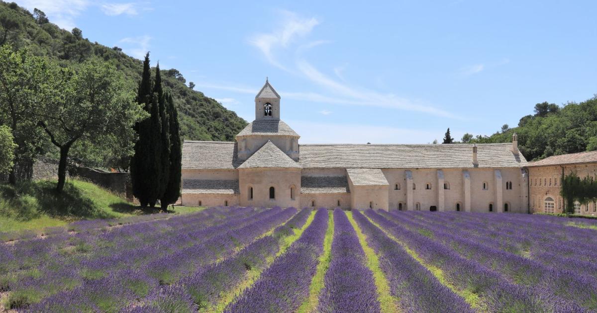 giorni in Minibus, Tour Speciale in Provenza per la fioritura della  Lavanda, Terre dell'Ocra e Avignone - Main Image