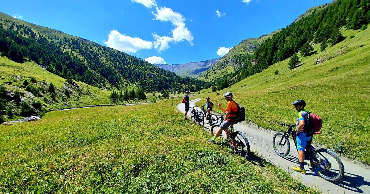 Mtb Affitto Bici Val Di Sole Noleggio Mtb E-bike Zoldo